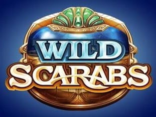 Wild Scarabs